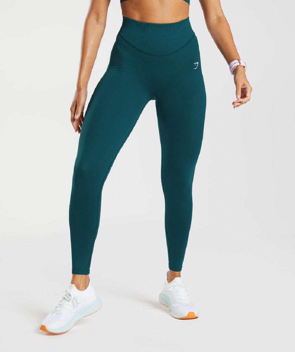 Gymshark Sweat Seamless Sculpt Ženske Tajice Tirkizne | HR 4008KOR